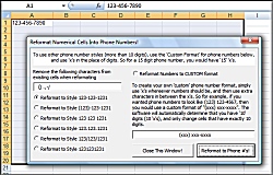 Screenshot of Get Excel Customize Format and change numbers into phone numbers format with dashes etc Software 9.0