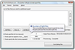 Use this great file splitting software to to split large files of pretty much a